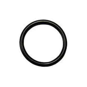 Model W Filler Cap O-Ring